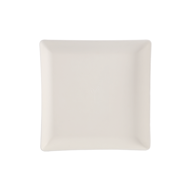 便宜實(shí)惠22cm*22cm方形可降解托盤(pán)
